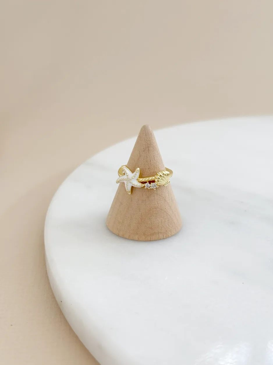 anillo marino